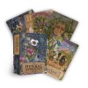 The Herbal Astrology Oracle – 55-kaardiline oraaklitekk ja juhendiraamat The Herbal Astrology Oracle – 55-kaardiline oraaklitekk ja juhendiraamat